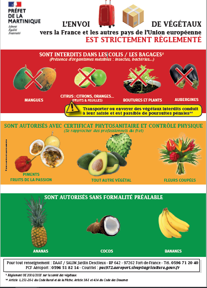 envoi de vegetaux vers la France